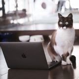 【E2E】CodeceptJSのHelperを作ってみよう